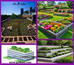 تصاویر نرم افزار