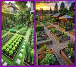 تصاویر نرم افزار