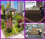 تصاویر نرم افزار