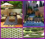 تصاویر نرم افزار