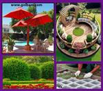 تصاویر نرم افزار