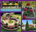 تصاویر نرم افزار