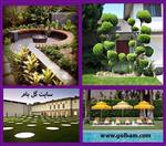 تصاویر نرم افزار