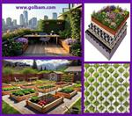 تصاویر نرم افزار