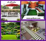 تصاویر نرم افزار