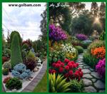 تصاویر نرم افزار