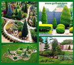 تصاویر نرم افزار