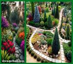 تصاویر نرم افزار