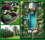 تصاویر نرم افزار