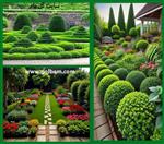 تصاویر نرم افزار