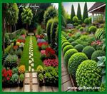 تصاویر نرم افزار