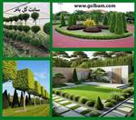 تصاویر نرم افزار