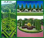 تصاویر نرم افزار