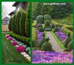 تصاویر نرم افزار