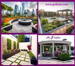 تصاویر نرم افزار