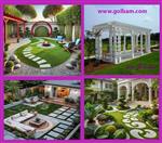 تصاویر نرم افزار