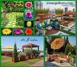 تصاویر نرم افزار