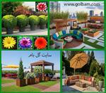 تصاویر نرم افزار