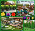 تصاویر نرم افزار