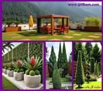 تصاویر نرم افزار