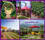 تصاویر نرم افزار