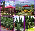 تصاویر نرم افزار