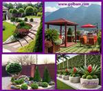 تصاویر نرم افزار