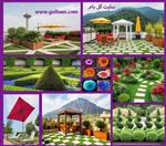 تصاویر نرم افزار