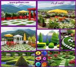 تصاویر نرم افزار