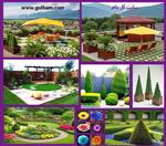 تصاویر نرم افزار