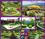 تصاویر نرم افزار