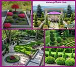 تصاویر نرم افزار