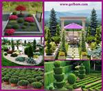 تصاویر نرم افزار