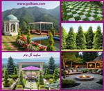 تصاویر نرم افزار