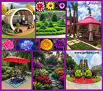 تصاویر نرم افزار