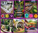 تصاویر نرم افزار