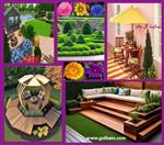 تصاویر نرم افزار