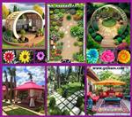 تصاویر نرم افزار