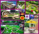 تصاویر نرم افزار