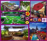 تصاویر نرم افزار