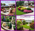 تصاویر نرم افزار