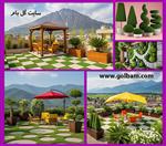 تصاویر نرم افزار