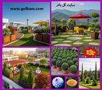 تصاویر نرم افزار